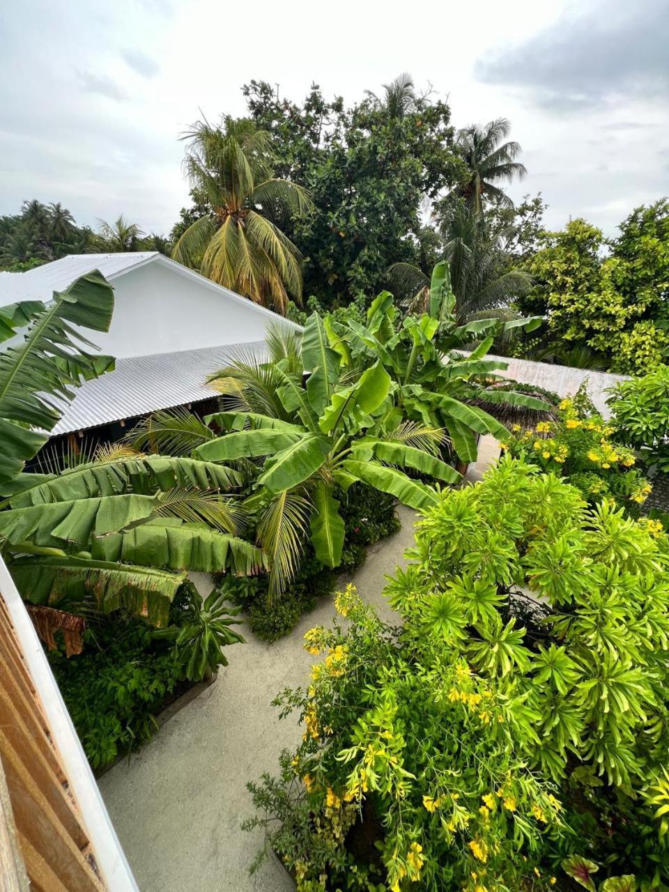 Seaside Dhigurah Hotell Dhigurah  Exteriör bild