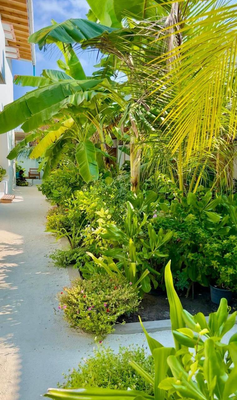 Seaside Dhigurah Hotell Dhigurah  Exteriör bild