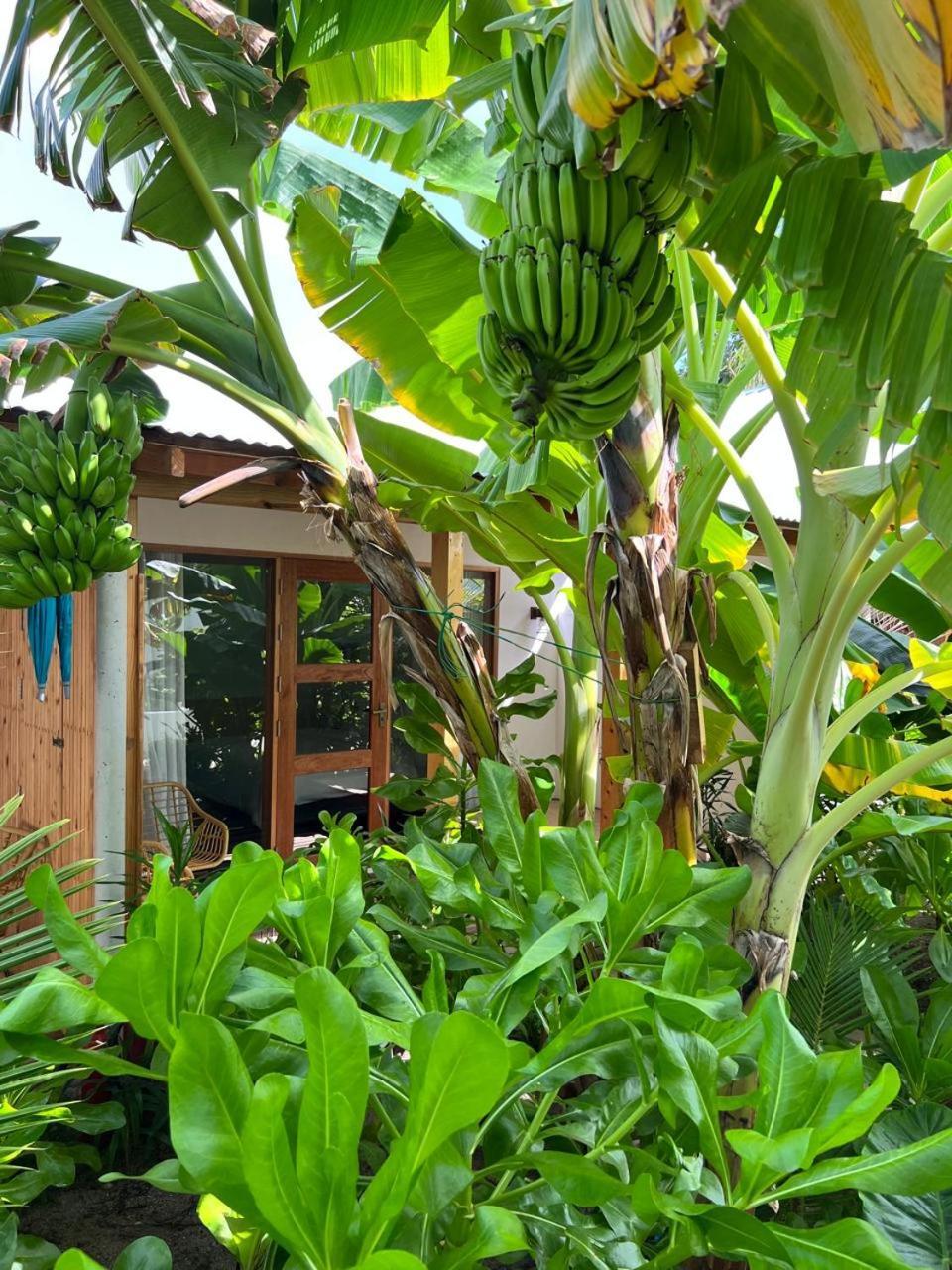 Seaside Dhigurah Hotell Dhigurah  Exteriör bild